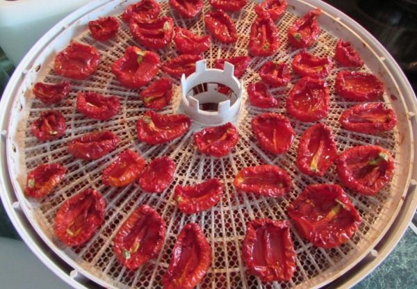 탈수기로 토마토 건조하기