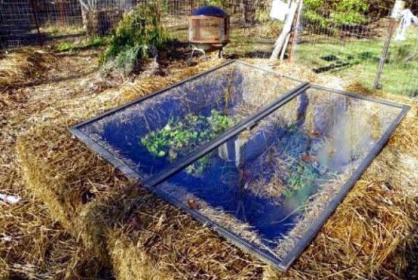 움푹 들어간 가발