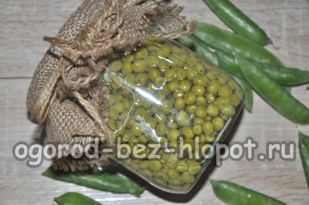 살균하지 않은 완두콩