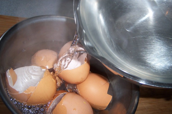 물 속의 달걀 껍질