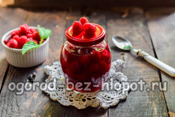 설탕 없이 라즈베리 주스에 담긴 라즈베리