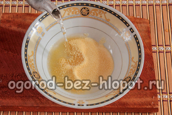 아가아가를 녹이다