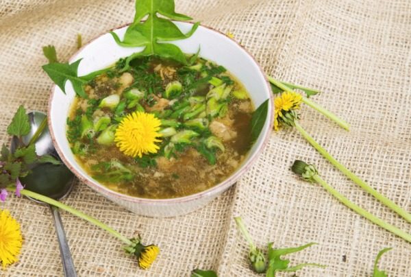 민들레 수프