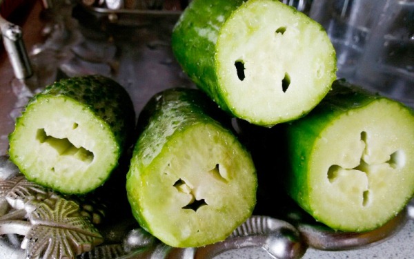 오이는 왜 속이 비어 있을까?