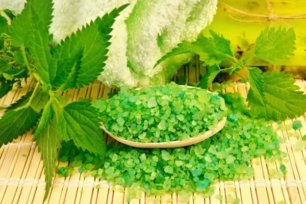 폴로텐스-비누-쐐기풀