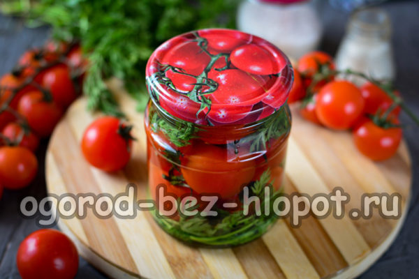 당근 잎이 달린 토마토