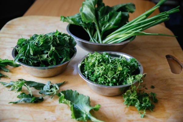 치료 중인 잡초