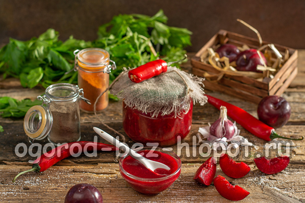 조지아어로 Tkemali