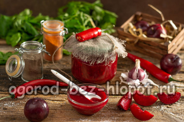 클래식 조지아 트케말리 레시피