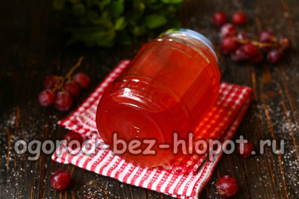 겨울용 포도 주스