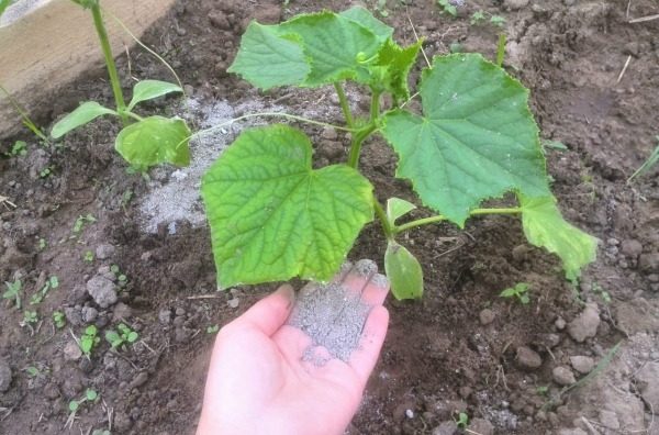 금연 건강 증진 협회