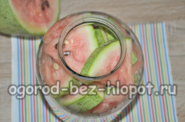 수박을 병에 담다