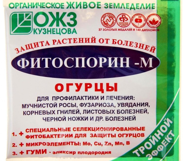 피토스포린 오이