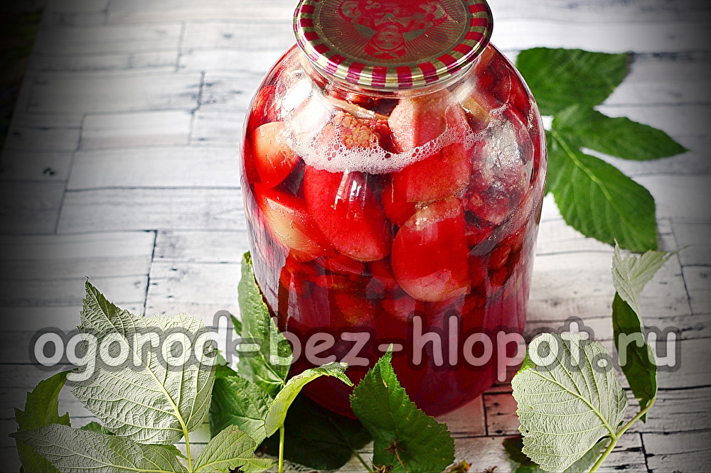 겨울을 위한 사과와 라즈베리 콤포트