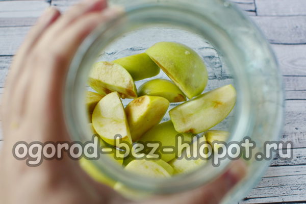 사과를 병에 담다