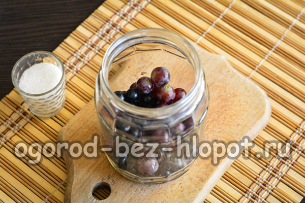 열매를 병에 담다