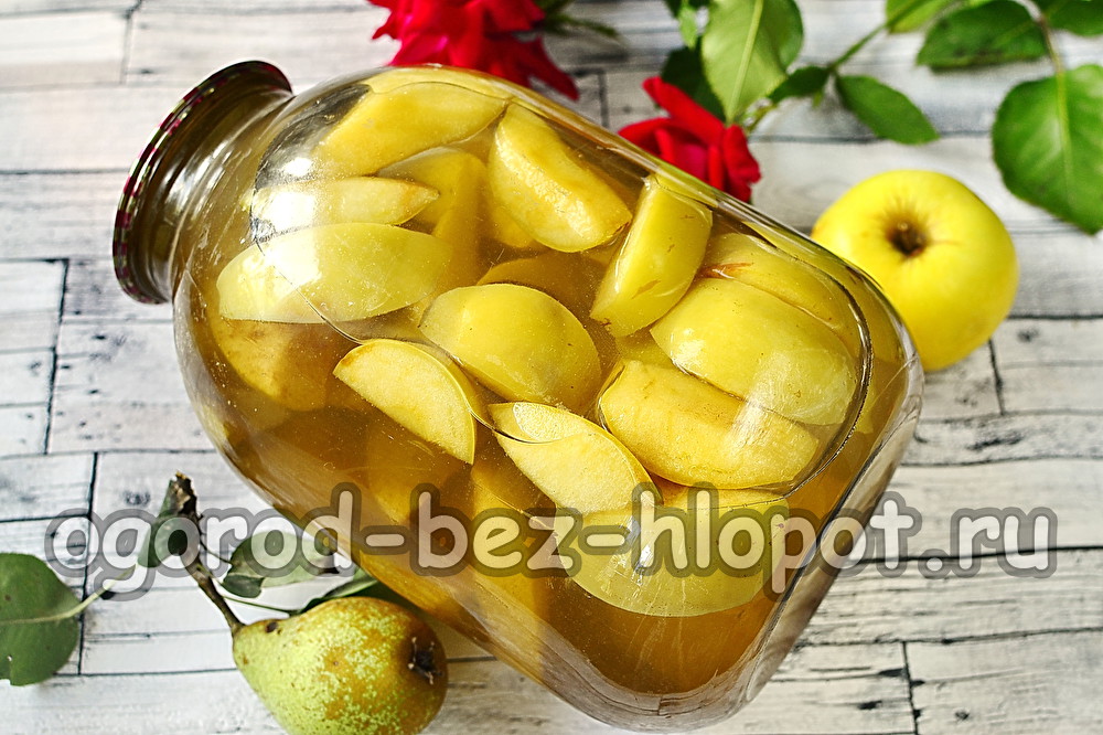 겨울을 위한 사과와 배 콤포트