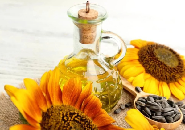 해바라기유