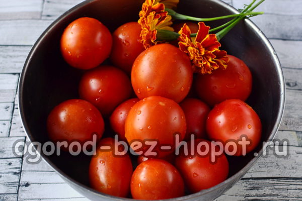 토마토와 금잔화