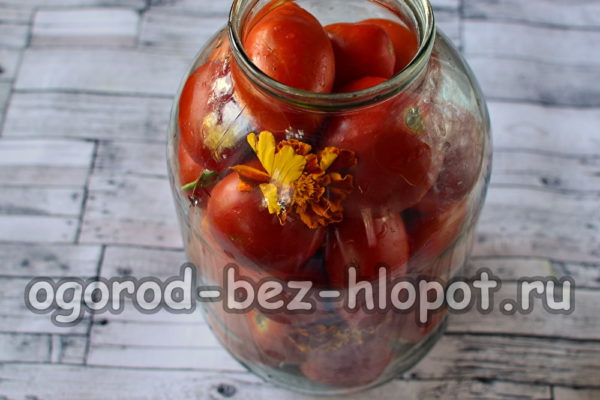 병 속의 토마토와 꽃