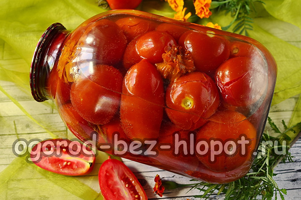 겨울철 금잔화와 토마토