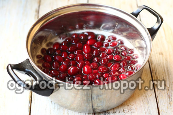 산딸나무를 붓다