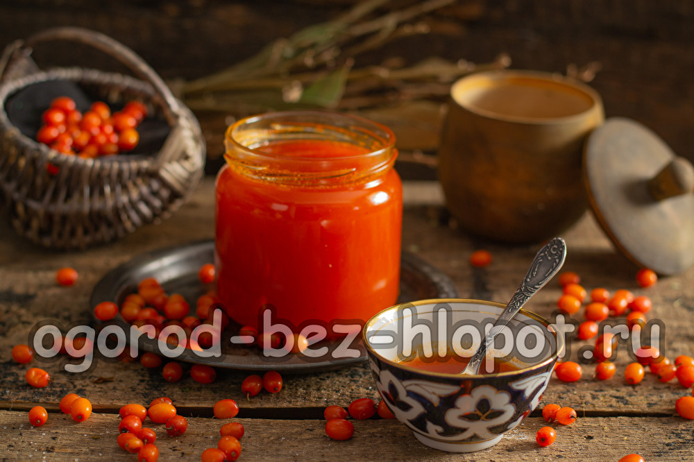 바다 갈매나무 젤리