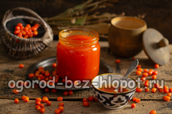 겨울철 바다 갈매나무 젤리