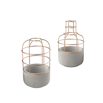 덩굴식물을 위한 용기