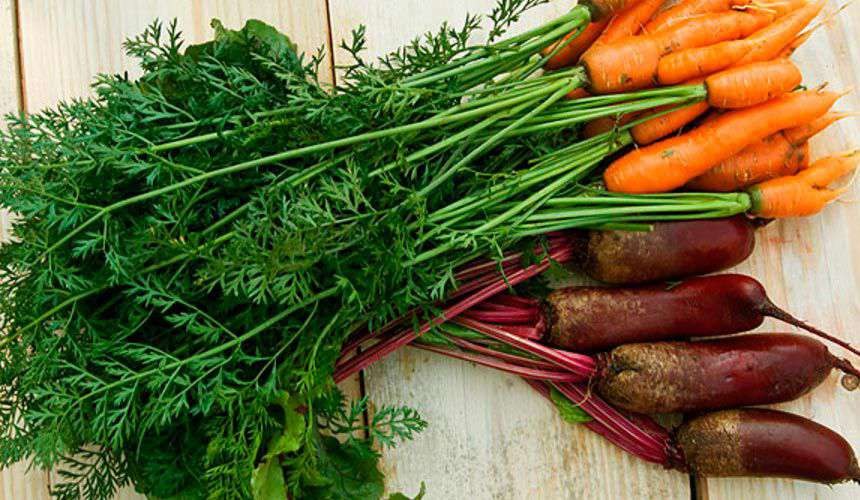 꼭지가 달린 당근과 비트