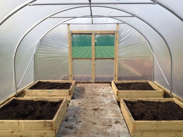 오이 심기 위해 온실에 흙 준비하기