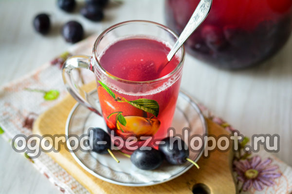 겨울철을 위한 씨앗이 있는 자두 콤포트