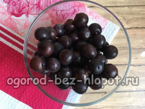 검은가시나무 열매