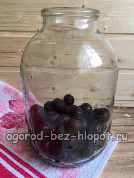 열매를 병에 담다