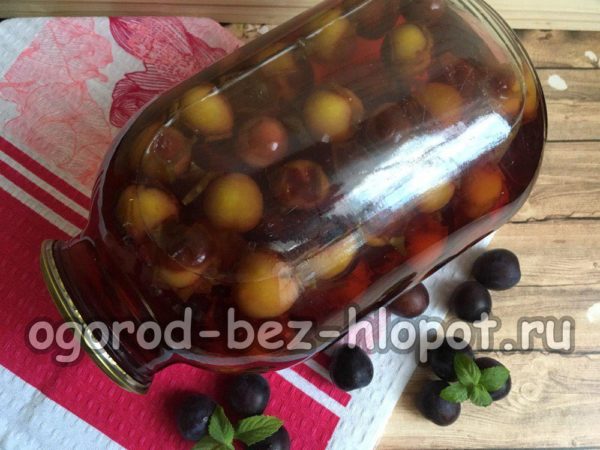 컴포트가 준비되었습니다