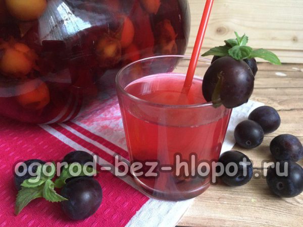 겨울용 블랙손 콩포트