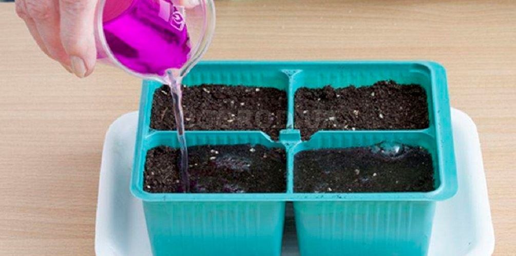 오이용 과망간산칼륨