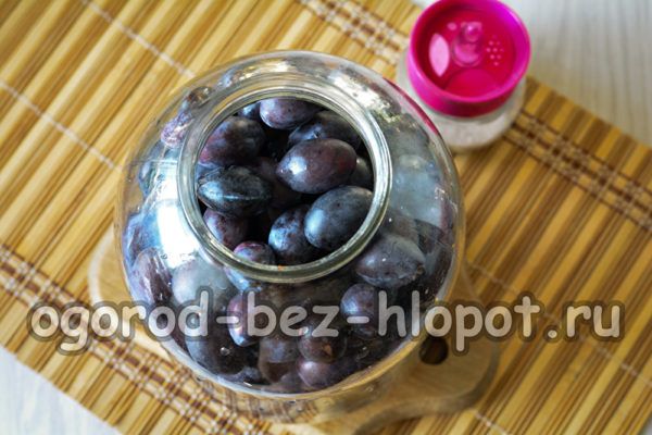 자두를 병에 담다