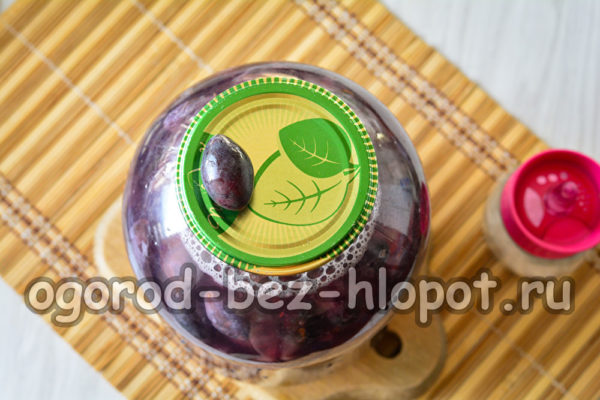 살균하지 않은 절인 매실