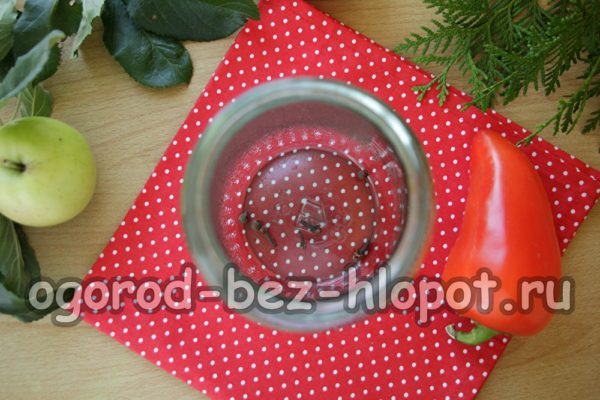 병 속의 향신료