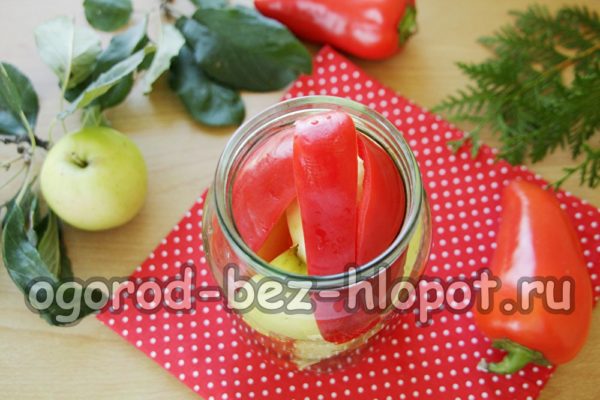 사과와 고추를 병에 담다