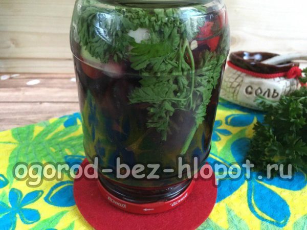 소금물을 붓고 닫으세요