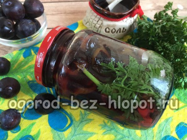 겨울용 블랙손 올리브