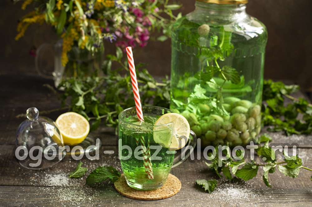 구스베리 콩포트 모히토