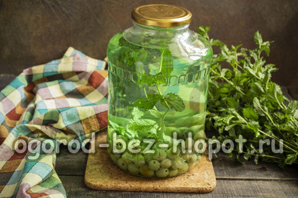 구스베리 콩포트가 준비되었습니다