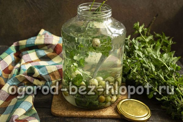 구스베리를 넣고 끓는 물을 부으세요