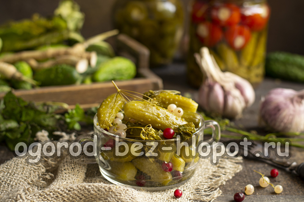 겨울을 위한 붉은 건포도와 오이