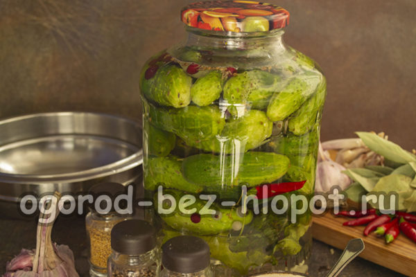 뚜껑으로 항아리를 닫다