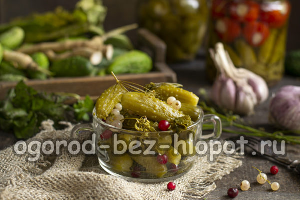 붉은 건포도를 곁들인 오이 레시피