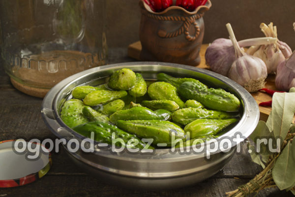 오이 위에 물을 붓다